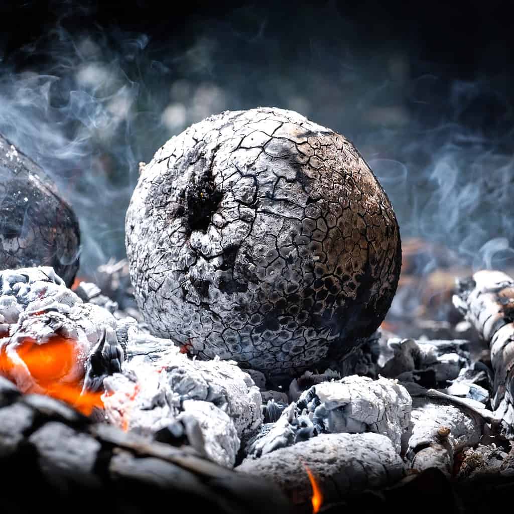 Breadfruit in fire