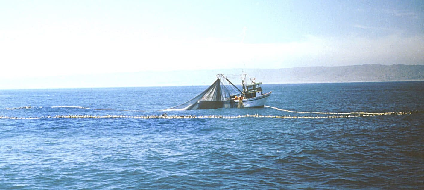 Saebjørn LIFA | Norway's pelagic purse seiner trawler Sabjør… | Flickr