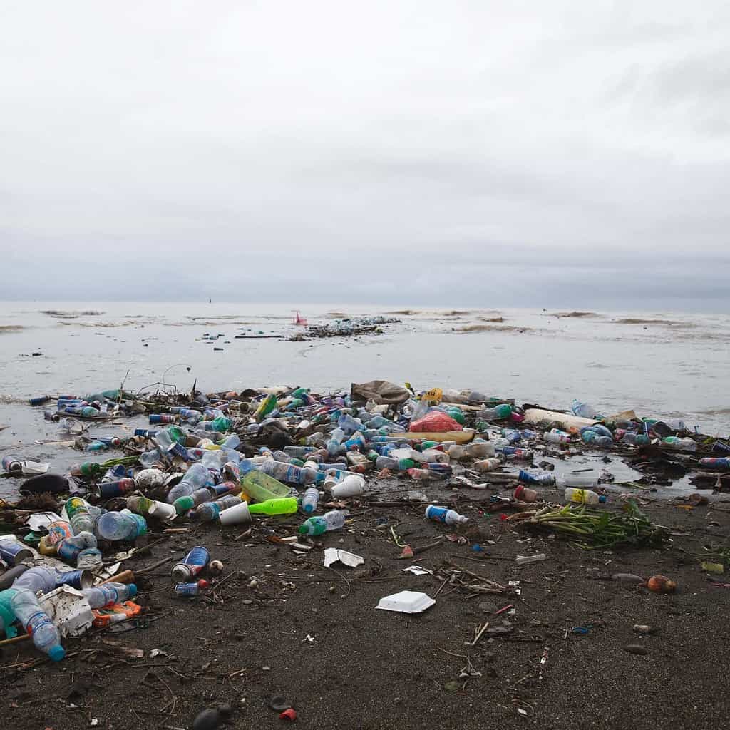 Plastic pollution at the Honiara sea front