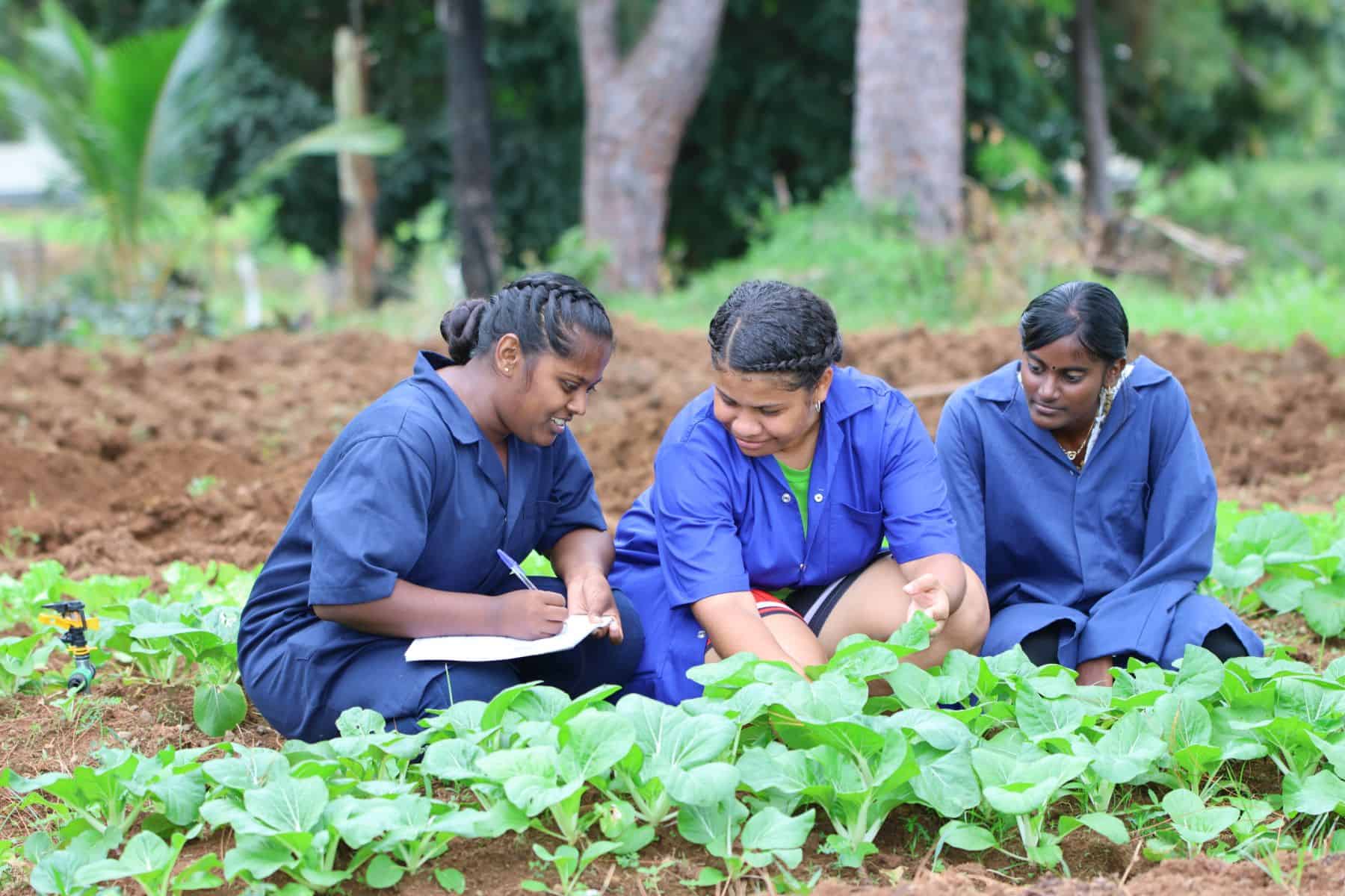 Strategic partnership fuels SME growth in Vanuatu and Solomon Islands