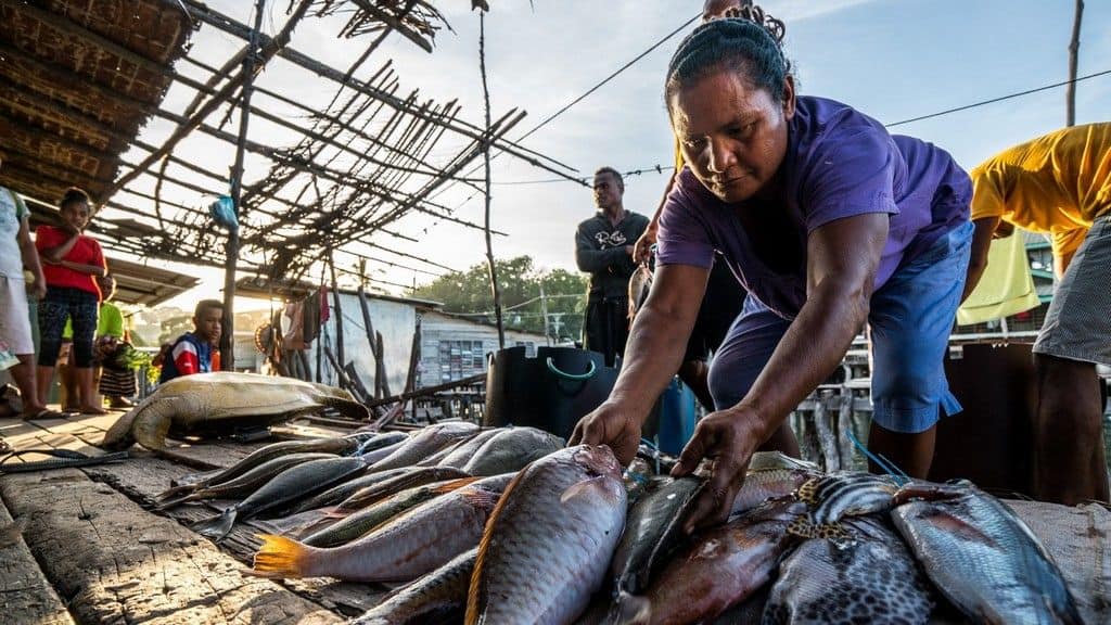 Tonga Development Bank teams up with IFC for economic revival
