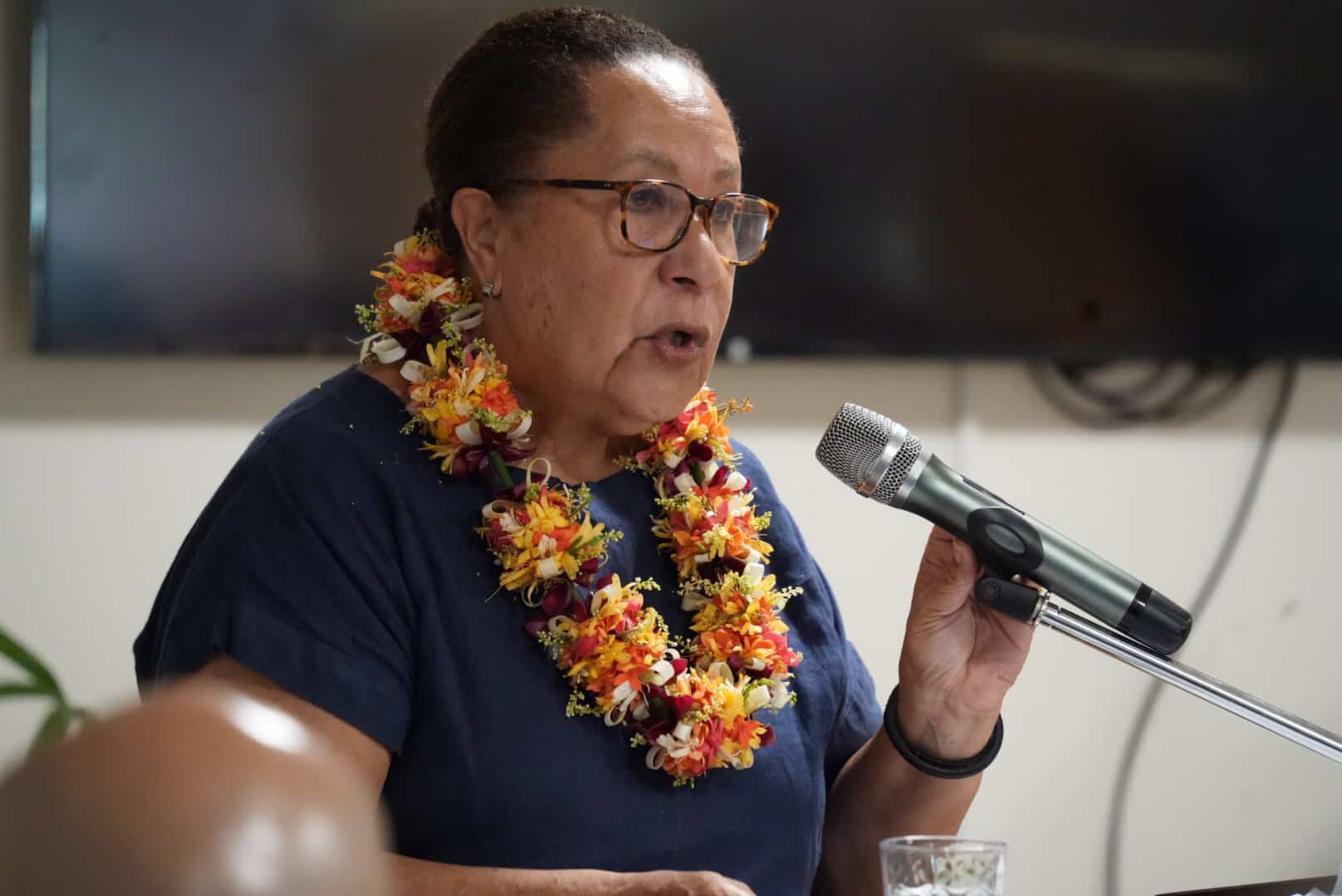 Regional cybercrime handbook nears completion after Fiji talks