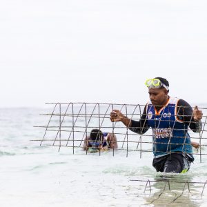 Pacific conservation finance needs patient capital, not another pilot